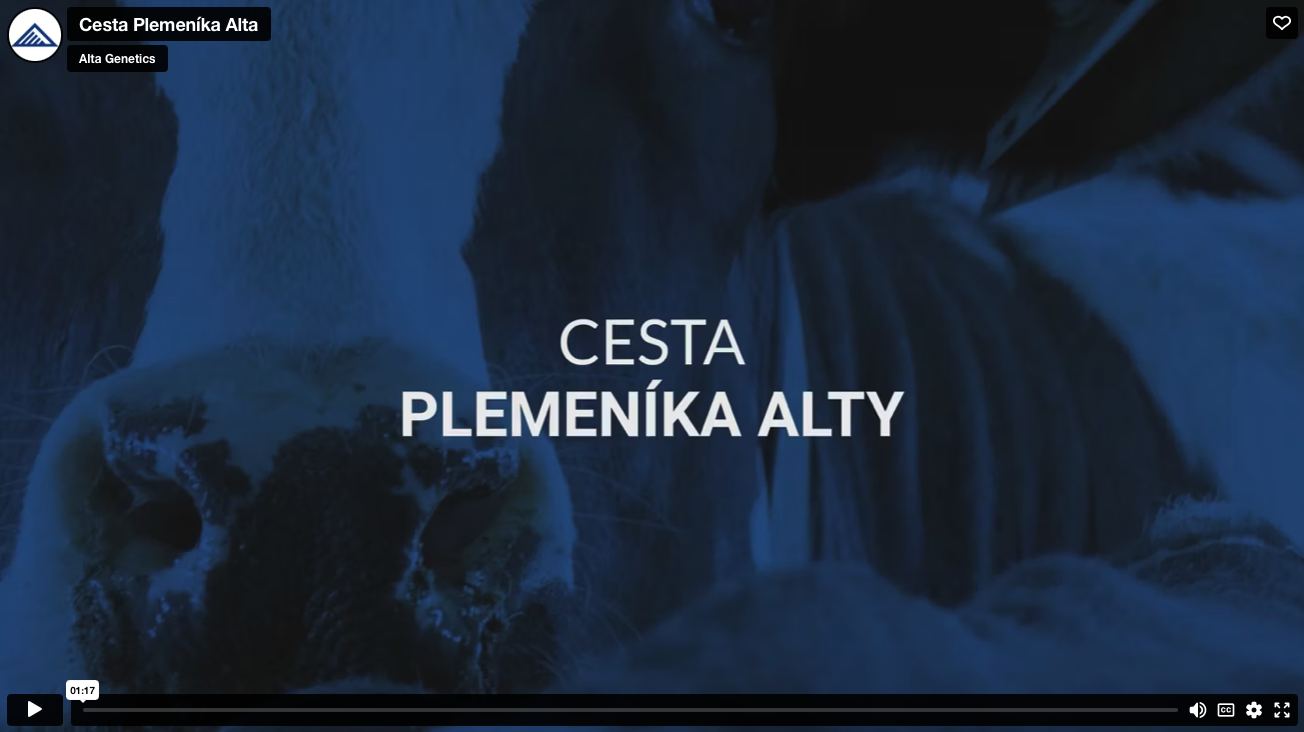 ZHURTA_cesta-plemenika