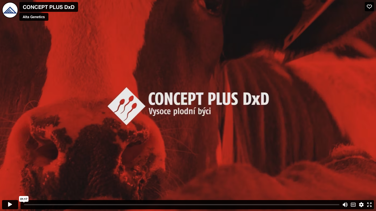 ZHURTA_CONCEPT PLUS DxD